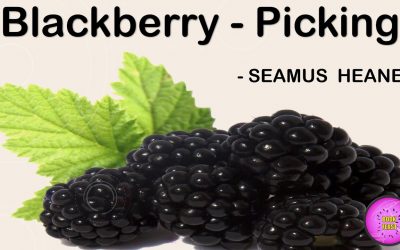 Blackberries!