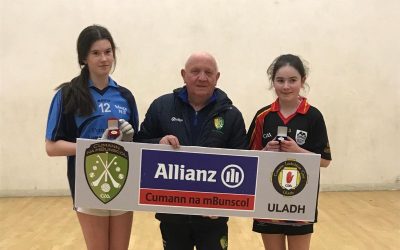 Ulster Handball Success