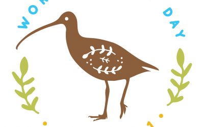 World Curlew Day