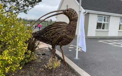 The Carrickroe Curlew