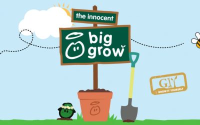 Big Grow