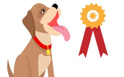 Deravoy Dog Show