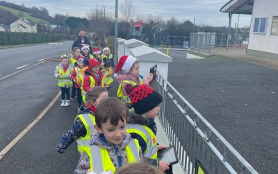 Christmas Walks 🚶‍♂️🚶‍♀️