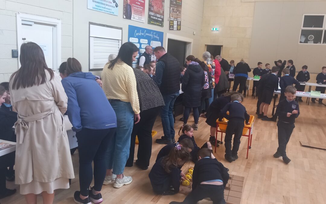 Science Fair for Deravoy Lá Eolaíochta STEM