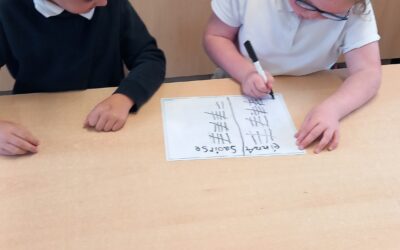 Studying Data in the Infant Classes.
